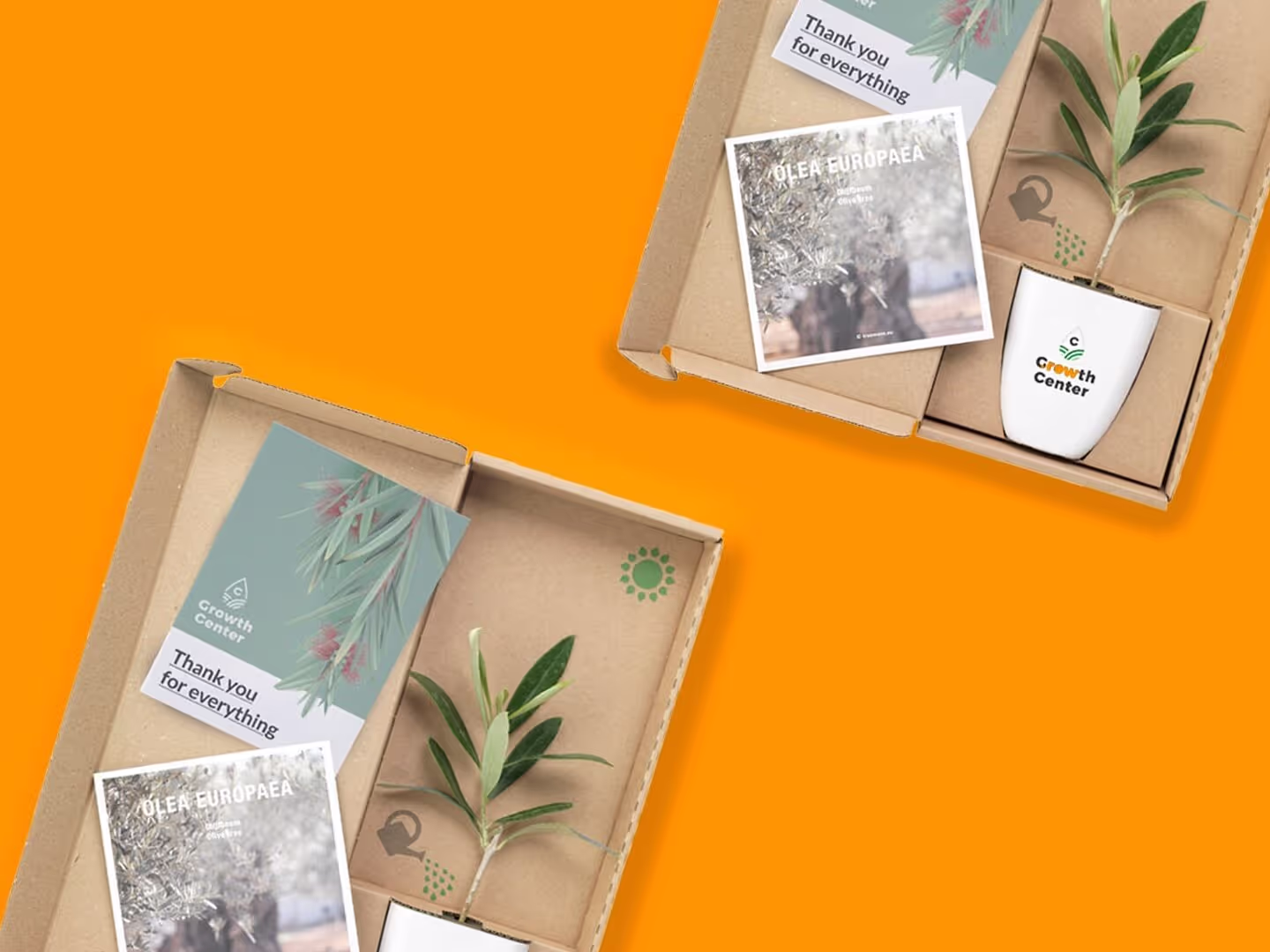 Zwei Geschenkboxen mit einer kleinen Topfpflanze, einer Dankeskarte und einer Broschüre stehen auf einem orangefarbenen Hintergrund. Der Pflanzentopf ist mit Green Health Center beschriftet. Die Schachteln sind teilweise geöffnet, um den Inhalt zu zeigen.